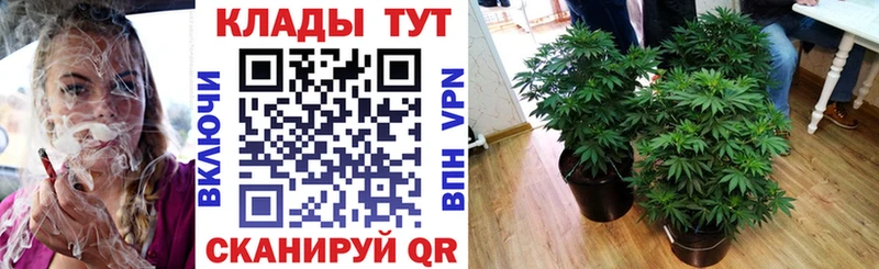 Купить наркотики цена Благовещенск Галлюциногенные грибы  Бошки Шишки  СОЛЬ  Меф  ГАШИШ 