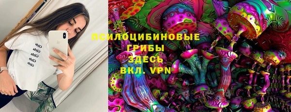 Альфа ПВП Алексин