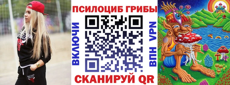 Галлюциногенные грибы GOLDEN TEACHER  продажа наркотиков  Благовещенск 