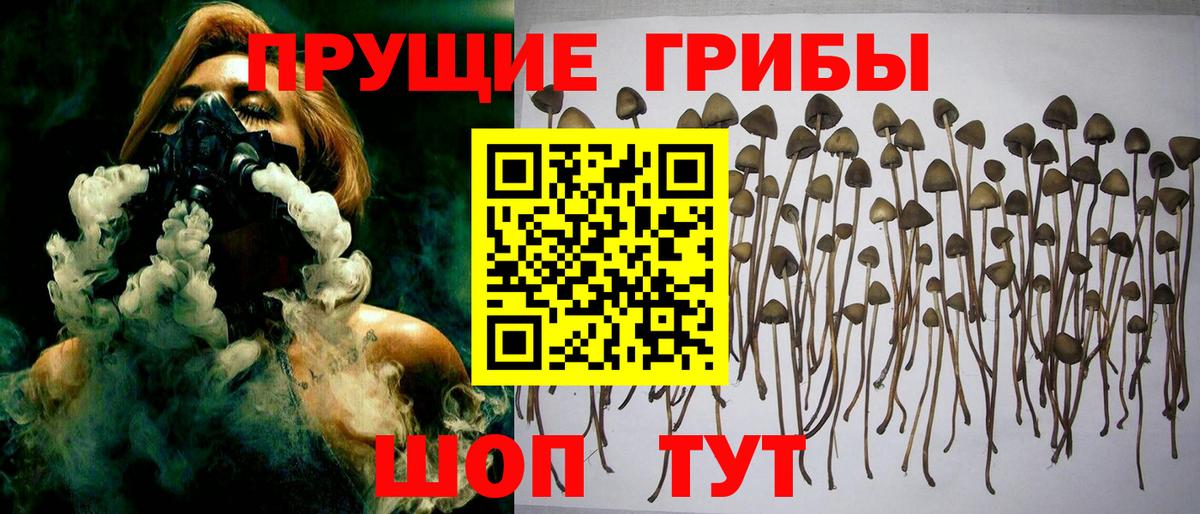 Галлюциногенные грибы MAGIC MUSHROOMS Благовещенск