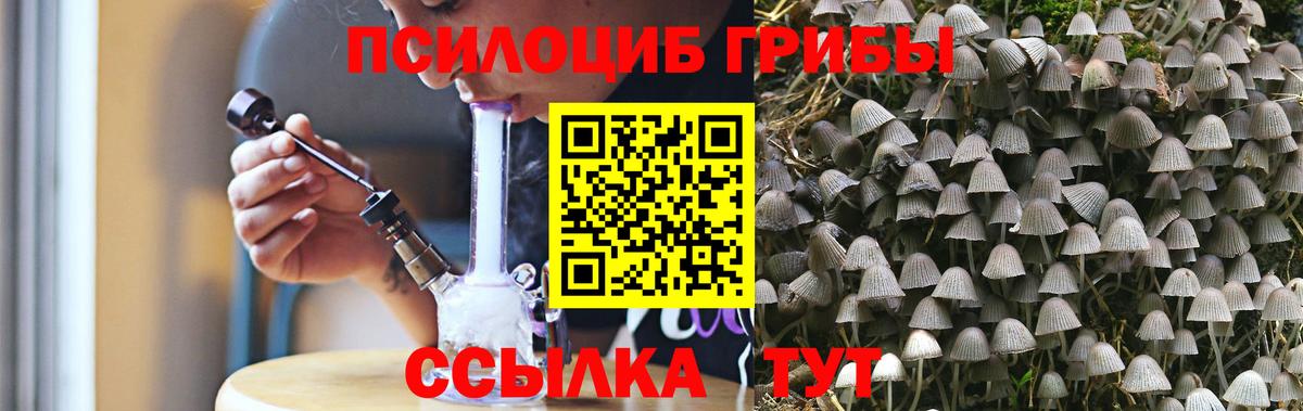 Галлюциногенные грибы Psilocybine cubensis  Псилоцибиновые грибы ЛСД  Вход с VPN  закладка  Благовещенск 